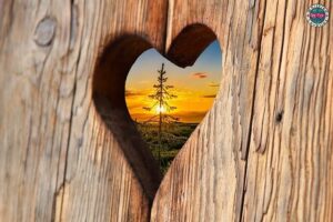 From hippie to the passion for wood - featured photo, a piece of wood with a carved heart where you can see a beautiful sunset on the nature